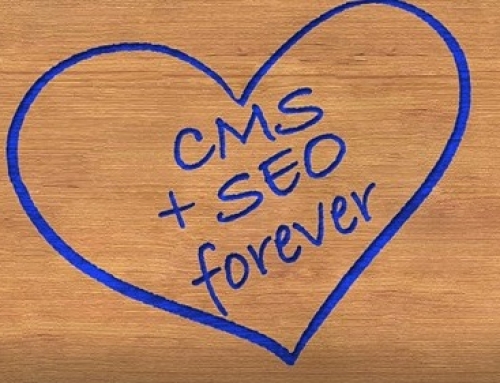 SEO & Content Management Systems (CMS)